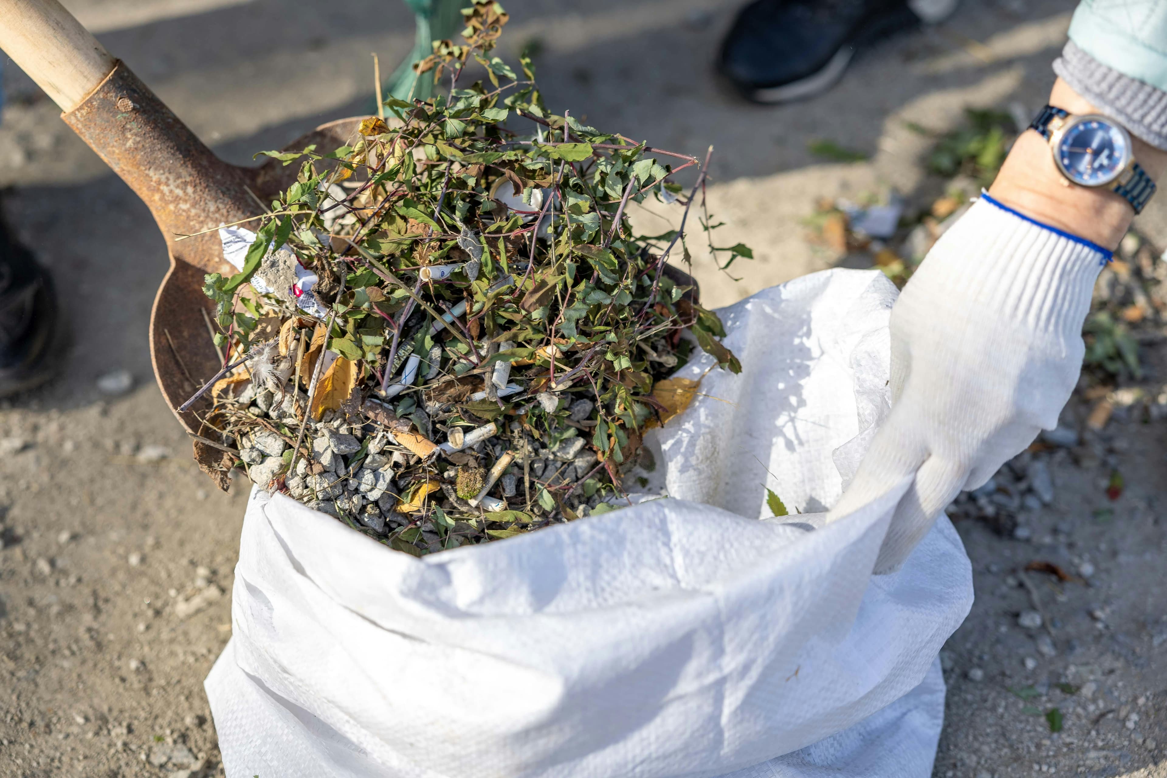Weed Removal